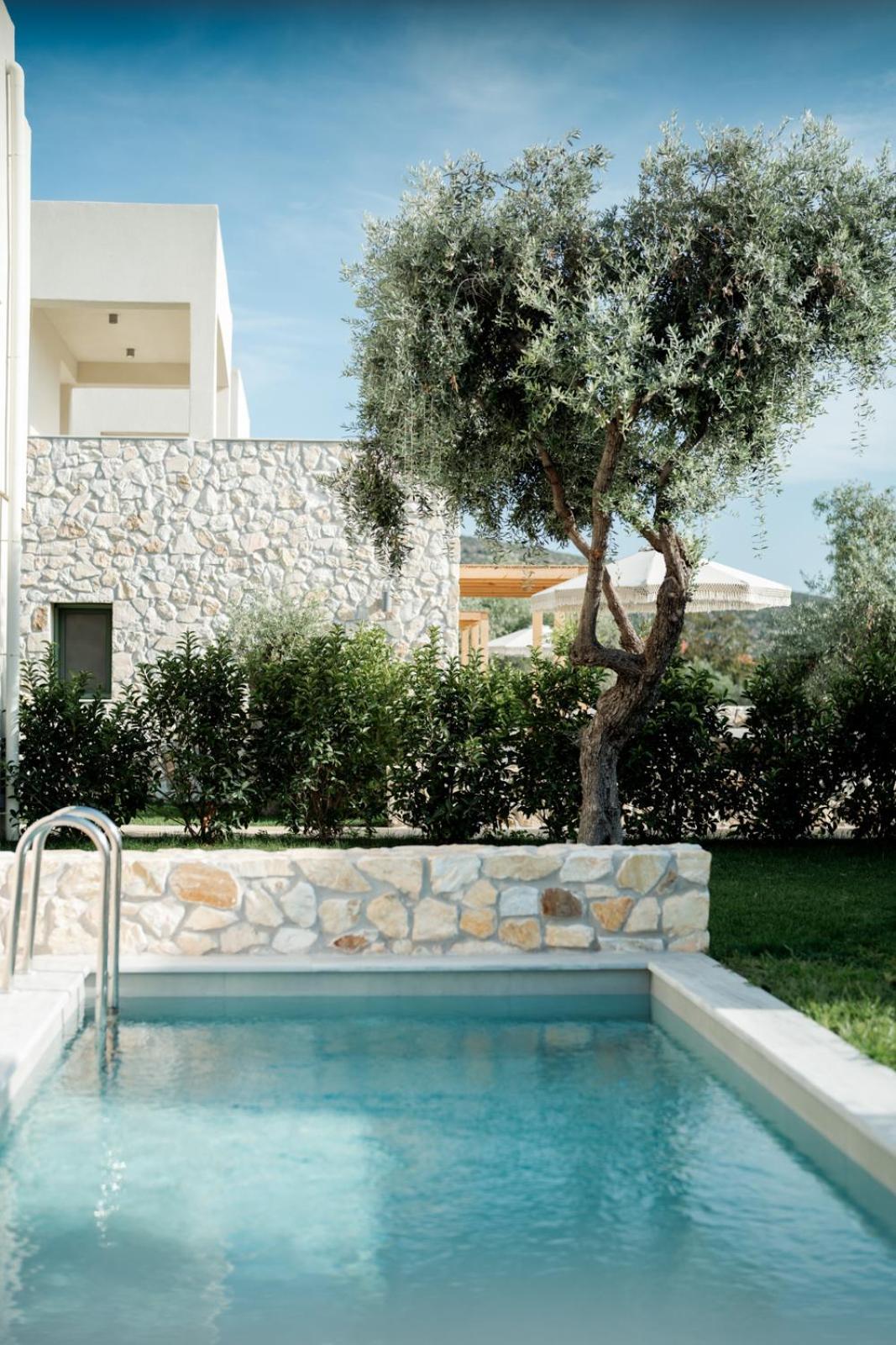 Magnolia Villas Potos Thassos Kültér fotó