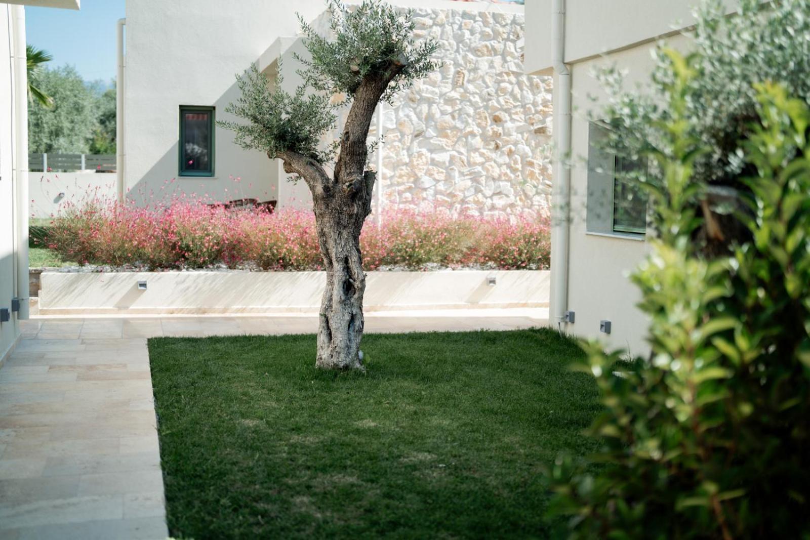 Magnolia Villas Potos Thassos Kültér fotó