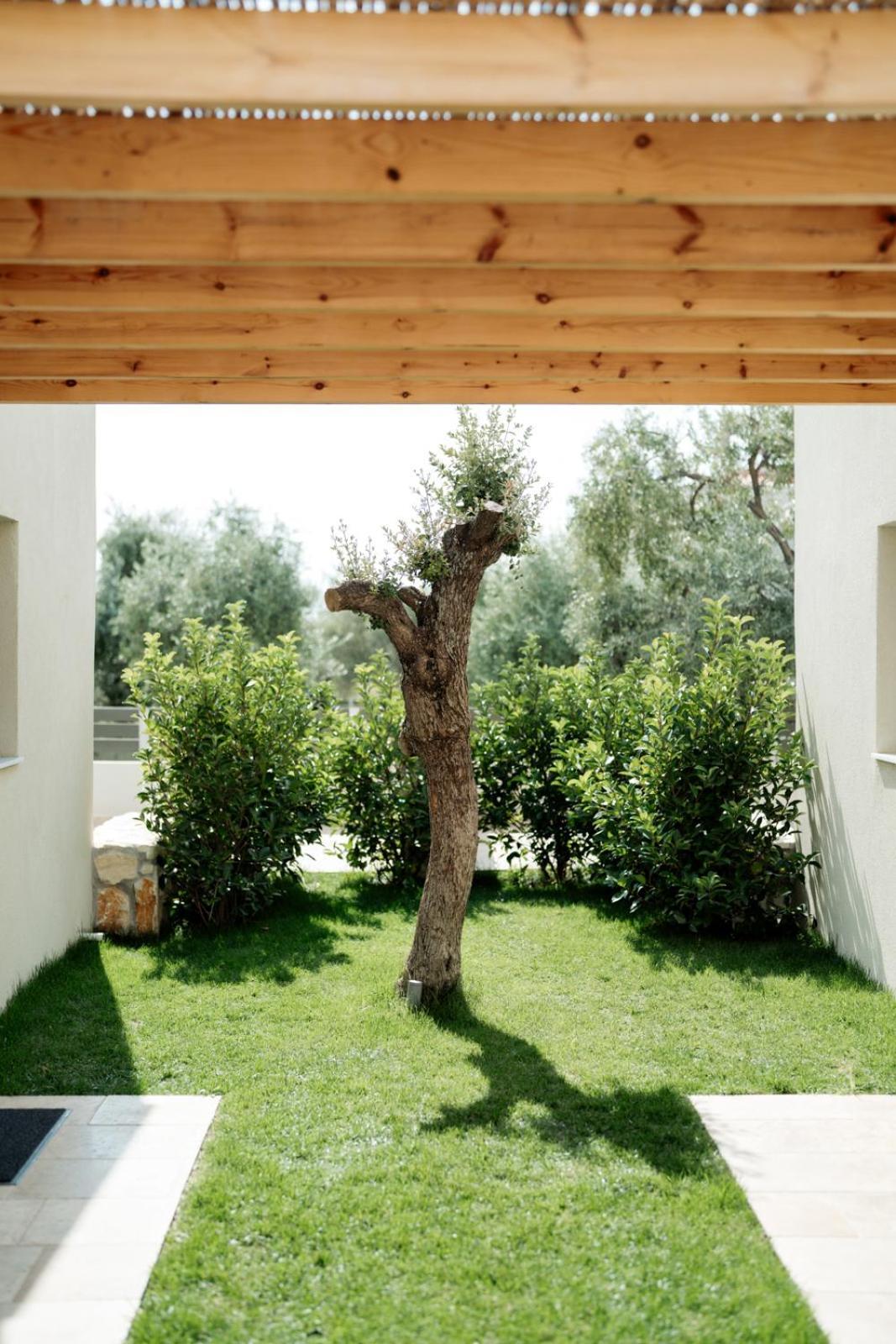Magnolia Villas Potos Thassos Kültér fotó